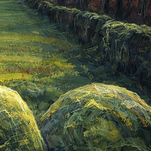 Sentinel Field detail 3