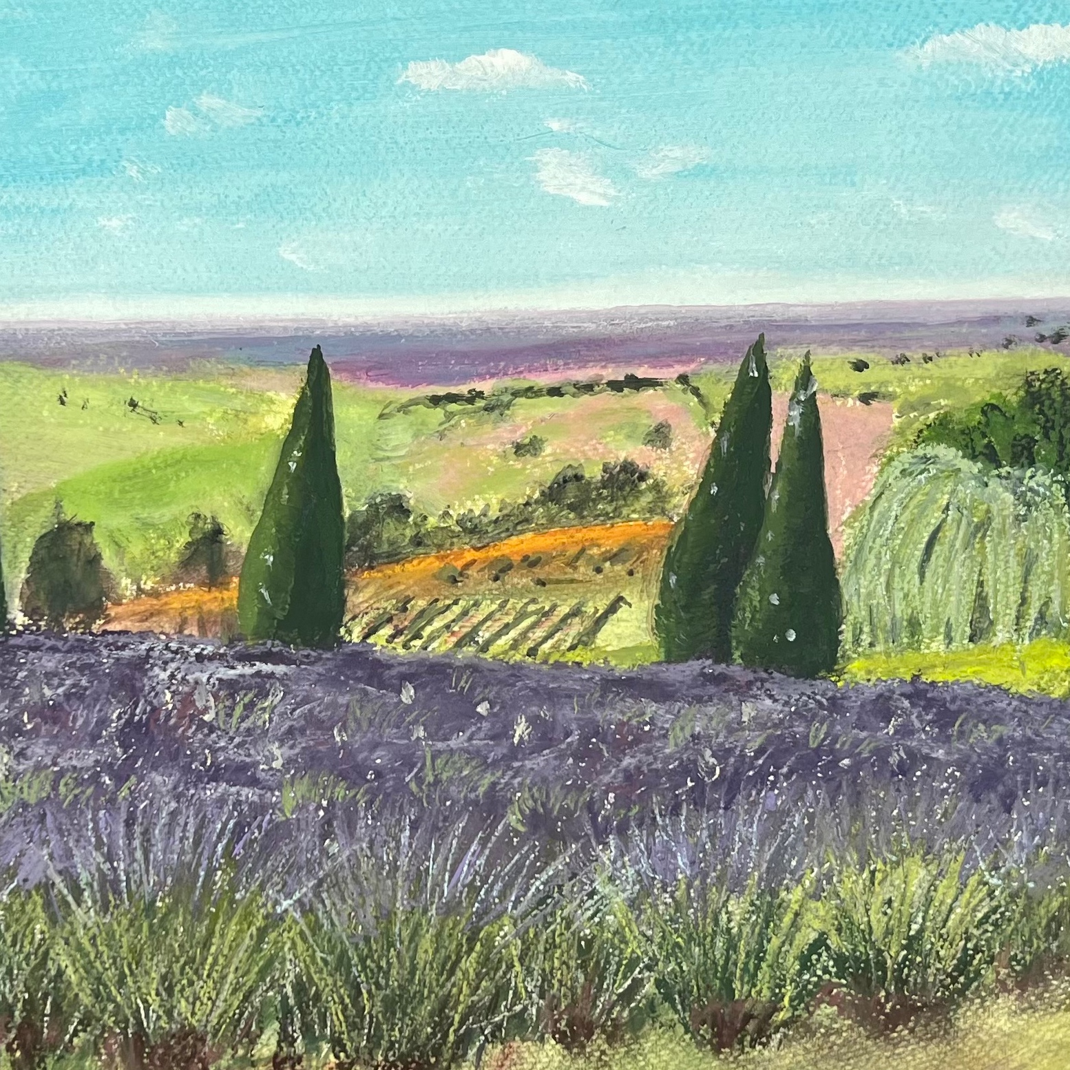 Summer at Yorkshire Lavender detail 1