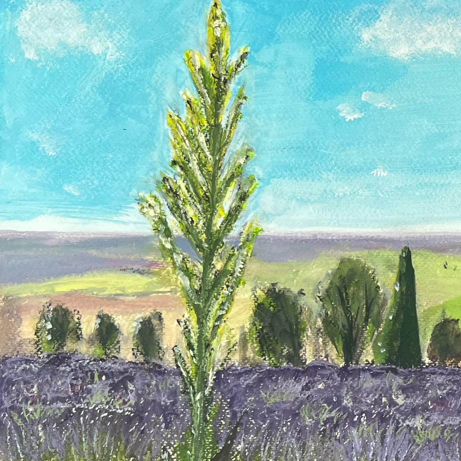 Summer at Yorkshire Lavender detail 3