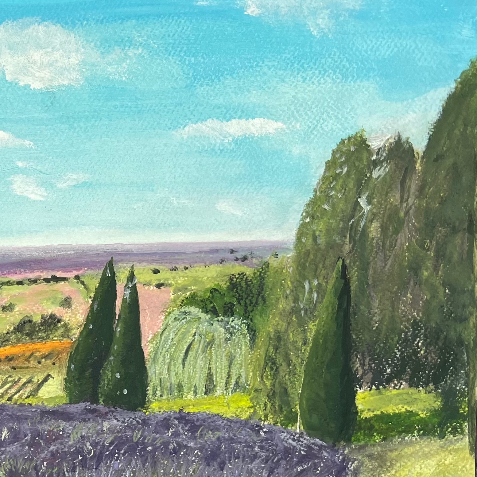 Summer at Yorkshire Lavender detail 2