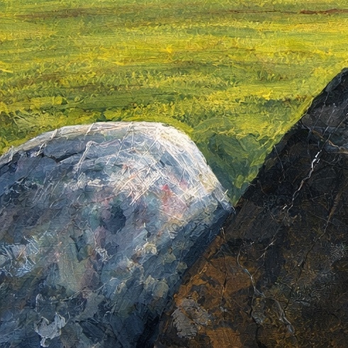 Sentinel Field detail 1