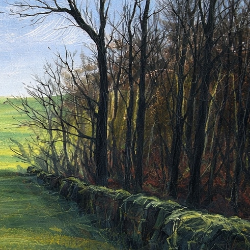 Sentinel Field detail 2